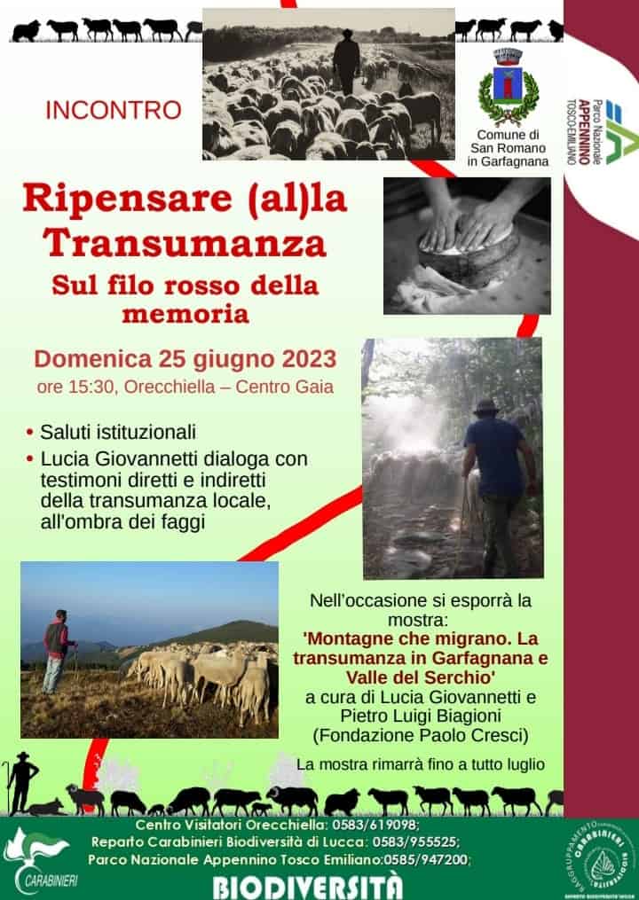 Domenica 25 Giugno - Transumanza